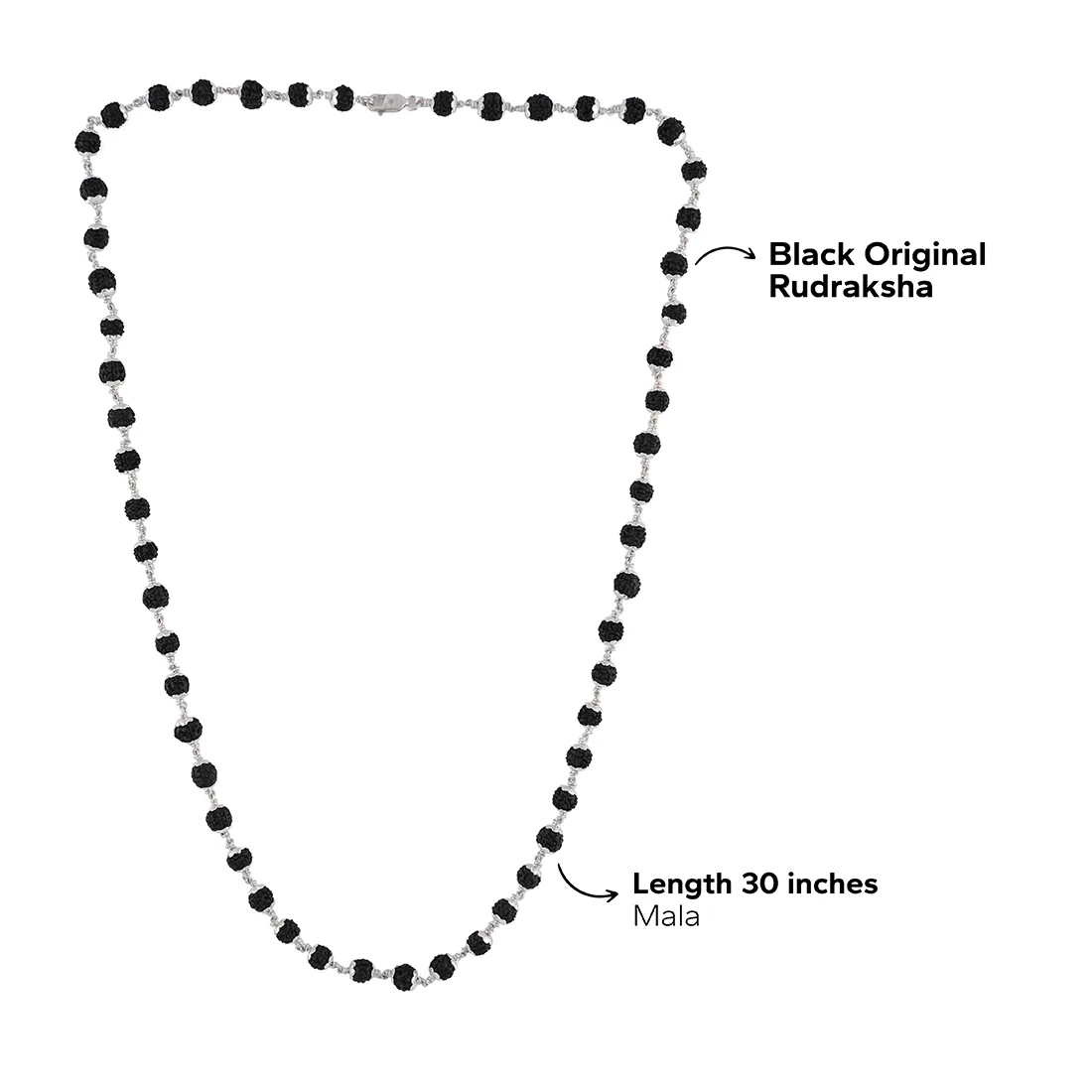 Black Rudraksha 925 Silver Mala