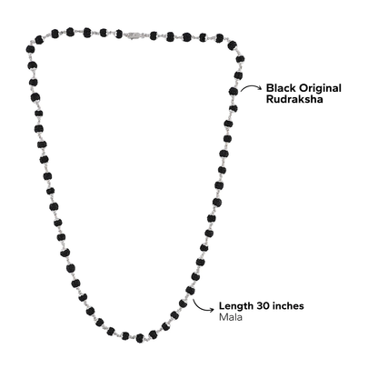 Black Rudraksha 925 Silver Mala