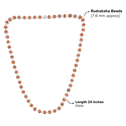 Rudraksha Mala with 925 Silver